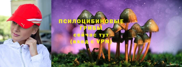 ешки Верхний Тагил